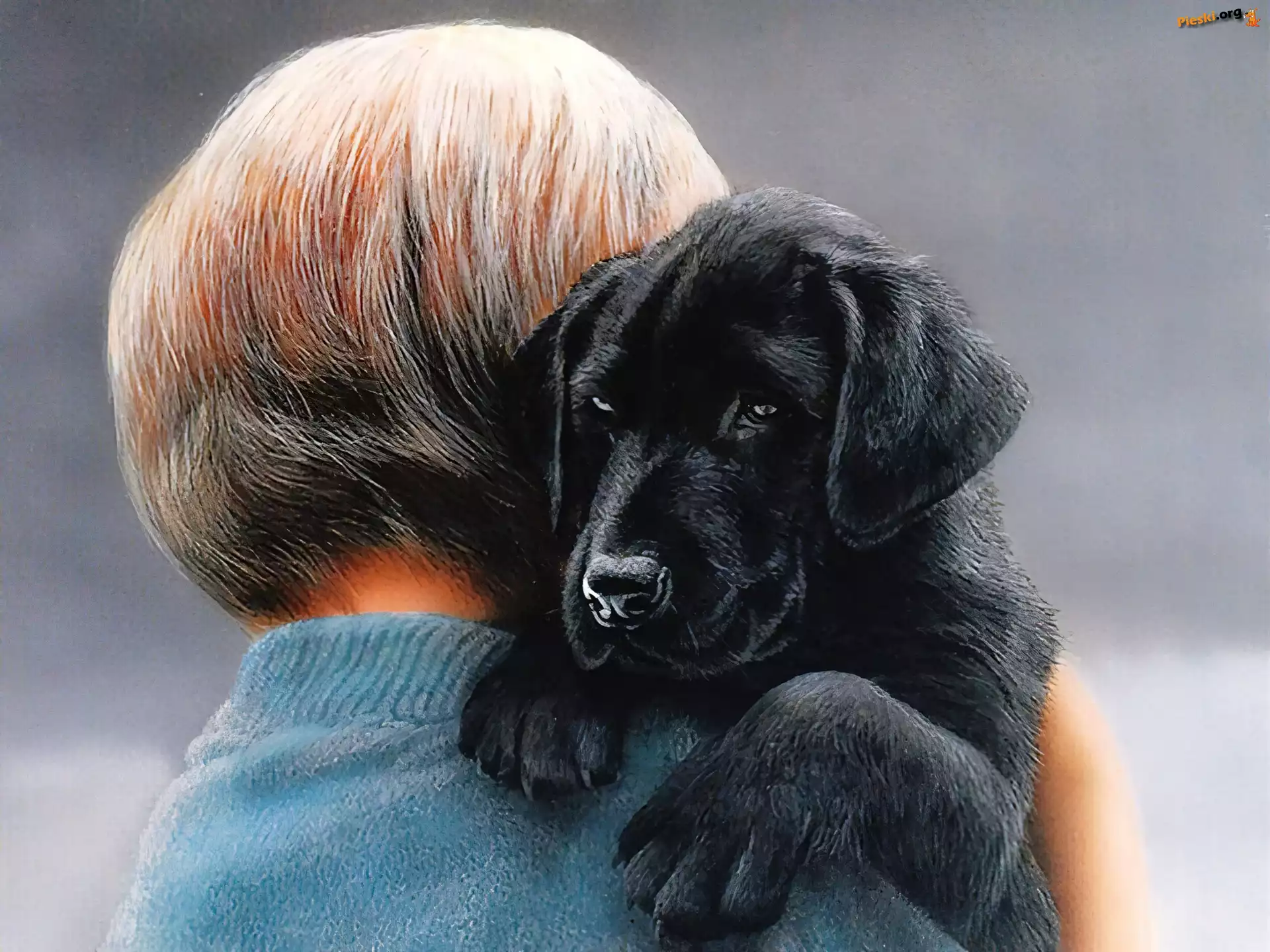 Labrador Retriever, Szczeniak, Dziecko