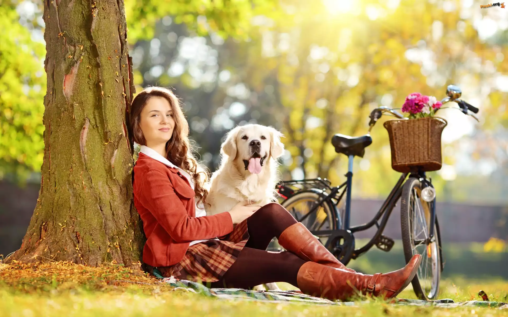 Golden, Kobieta, Pies, Retriewer