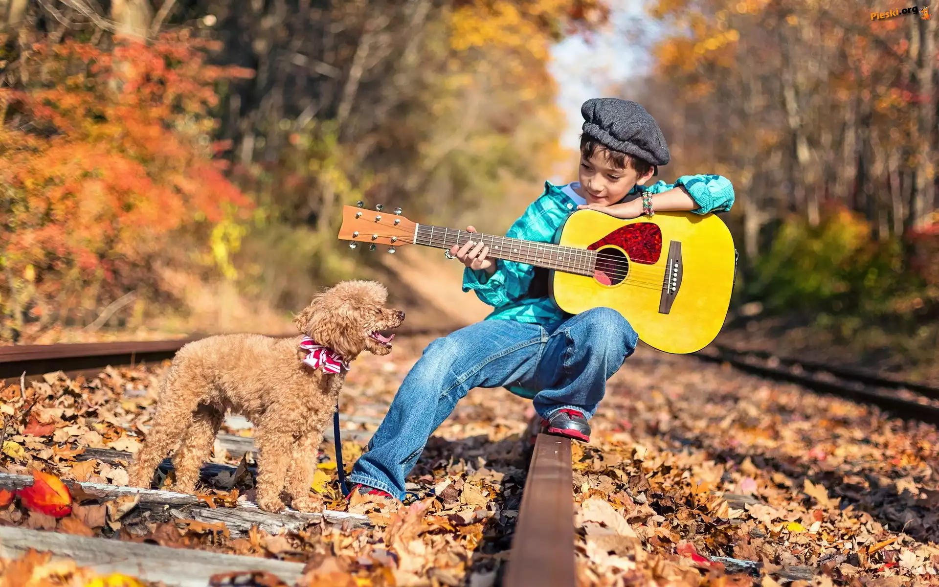 Chłopiec, Jesień, Pudel, Gitara, Pies, Tory