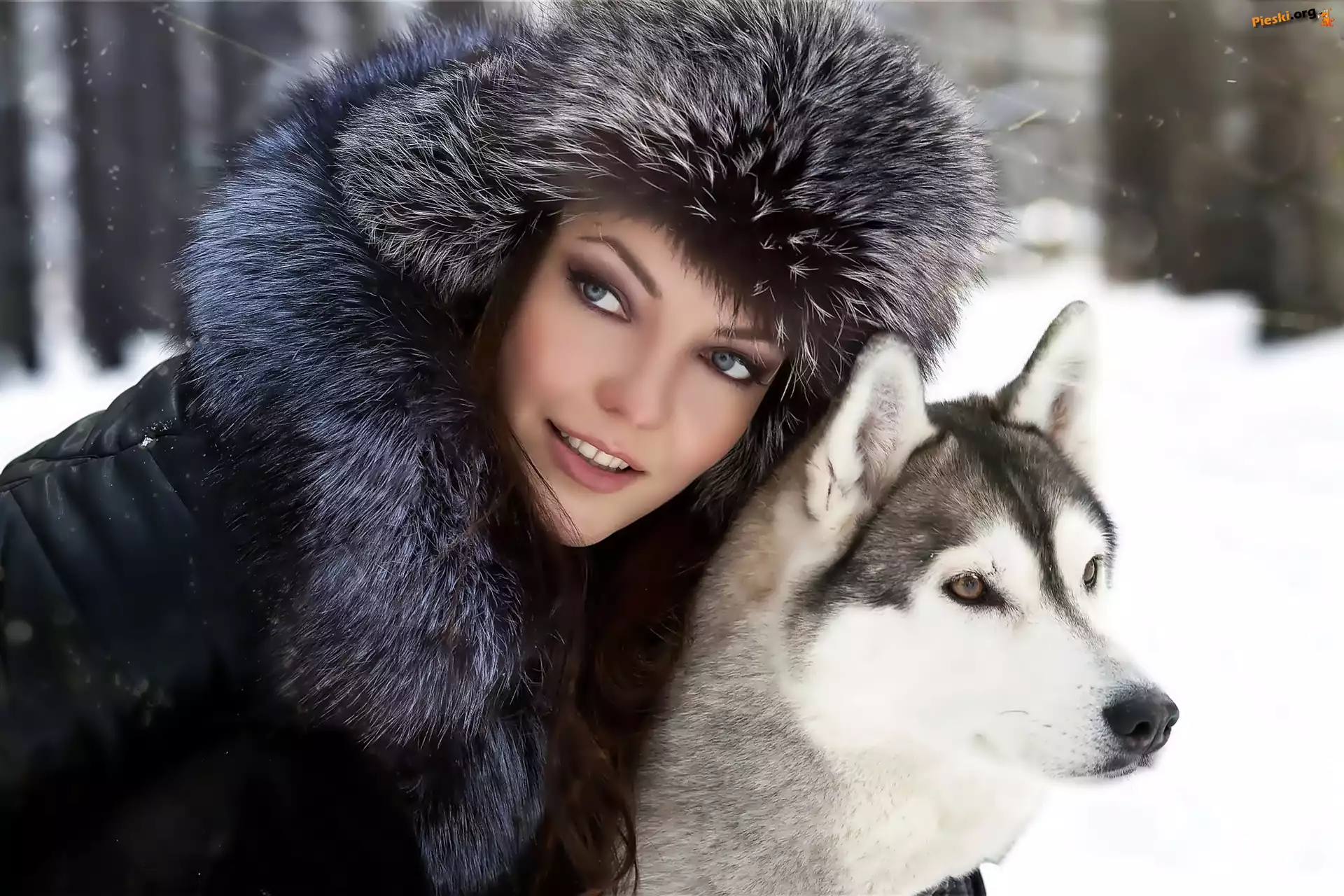 Pies, Kobieta, Czapka, Siberian Husky