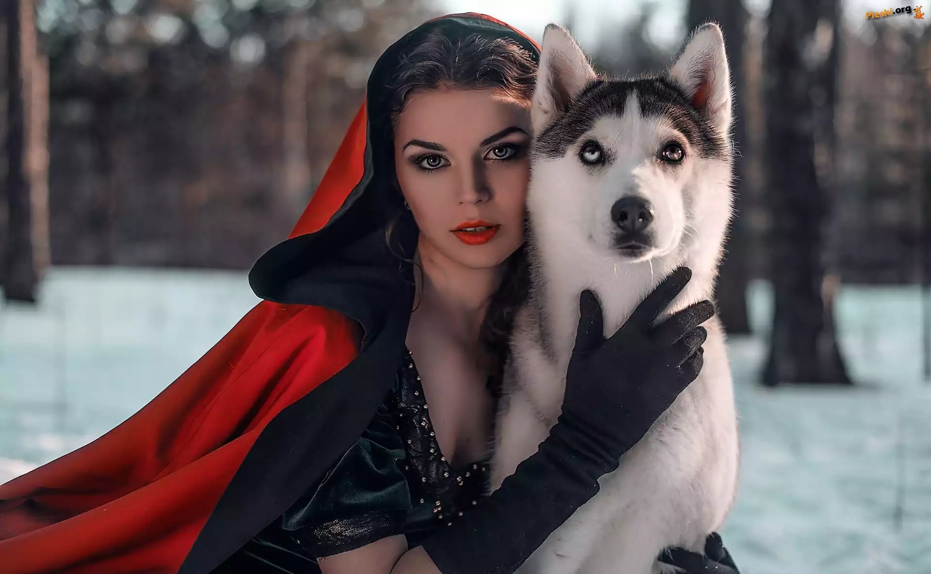 Pies, Czerwona, Kobieta, Peleryna, Husky