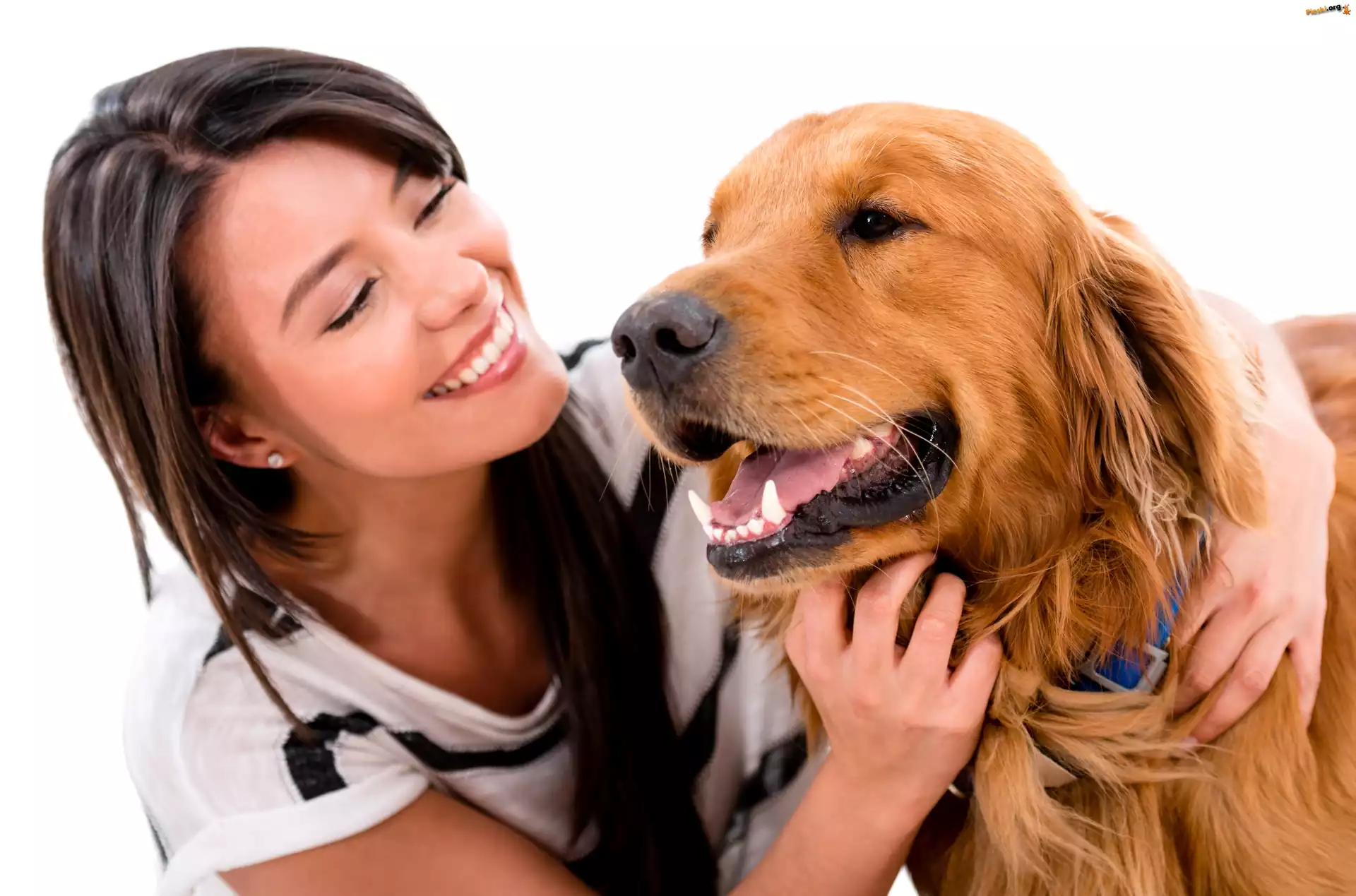 Golden Retriever, Dziewczyna, Uśmiechnięta, Pies, Przyjaźń