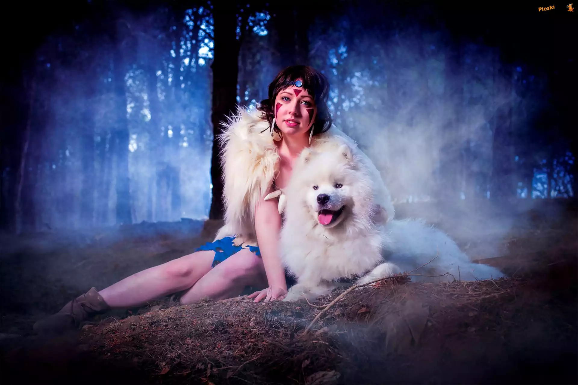 Samojed, Kobieta, Pies, Las