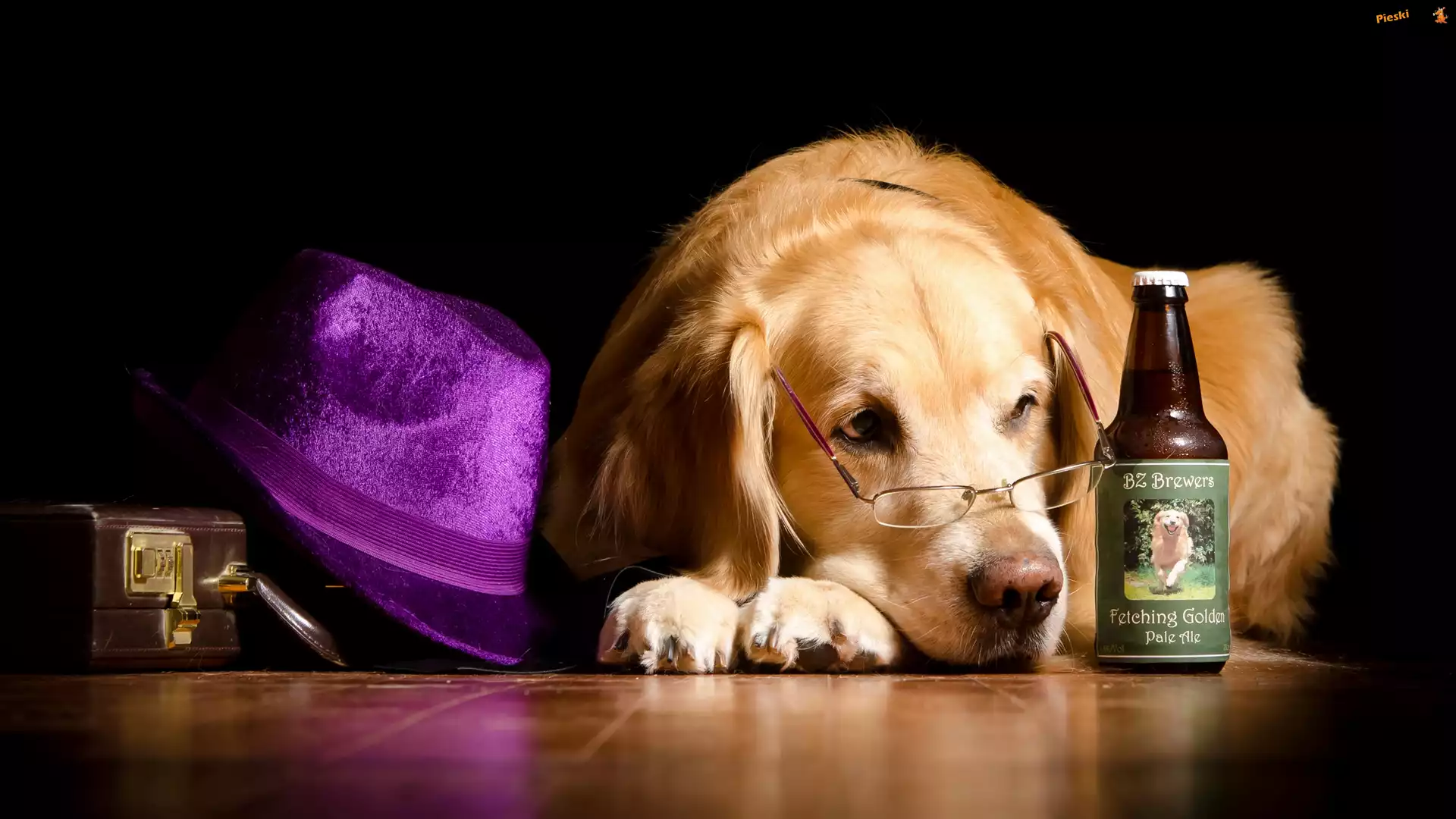 Butelka, Golden retriever, Okulary, Kapelusz