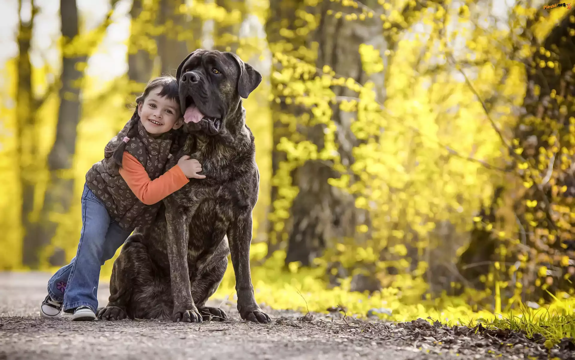 Dziecko, Bullmastiff, Pręgowany, Dziewczynka, Pies, Alejka