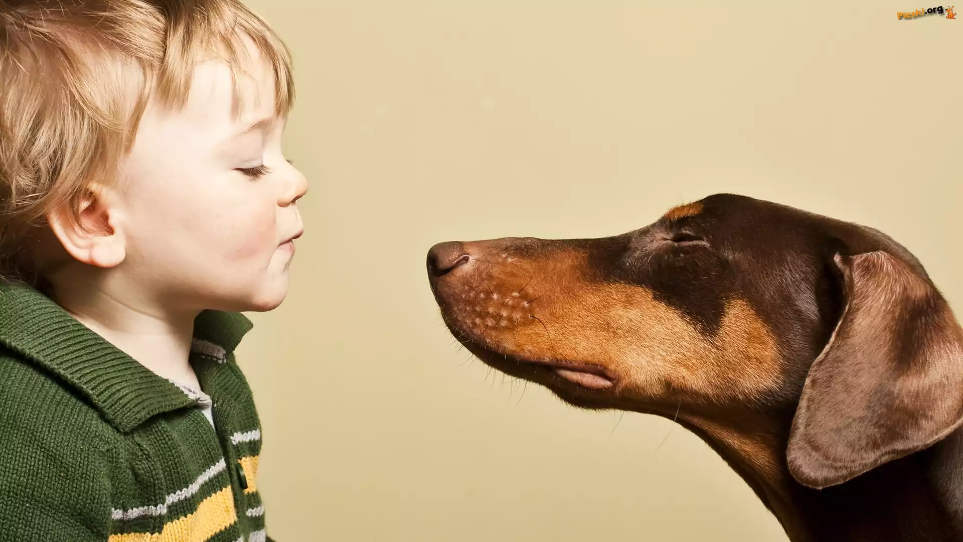 Doberman, Dziecko, Chłopczyk, Całus