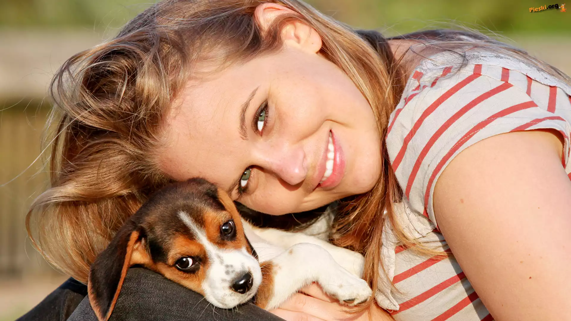 Szczeniak, Uśmiechnięta, Blondynka, Beagle
