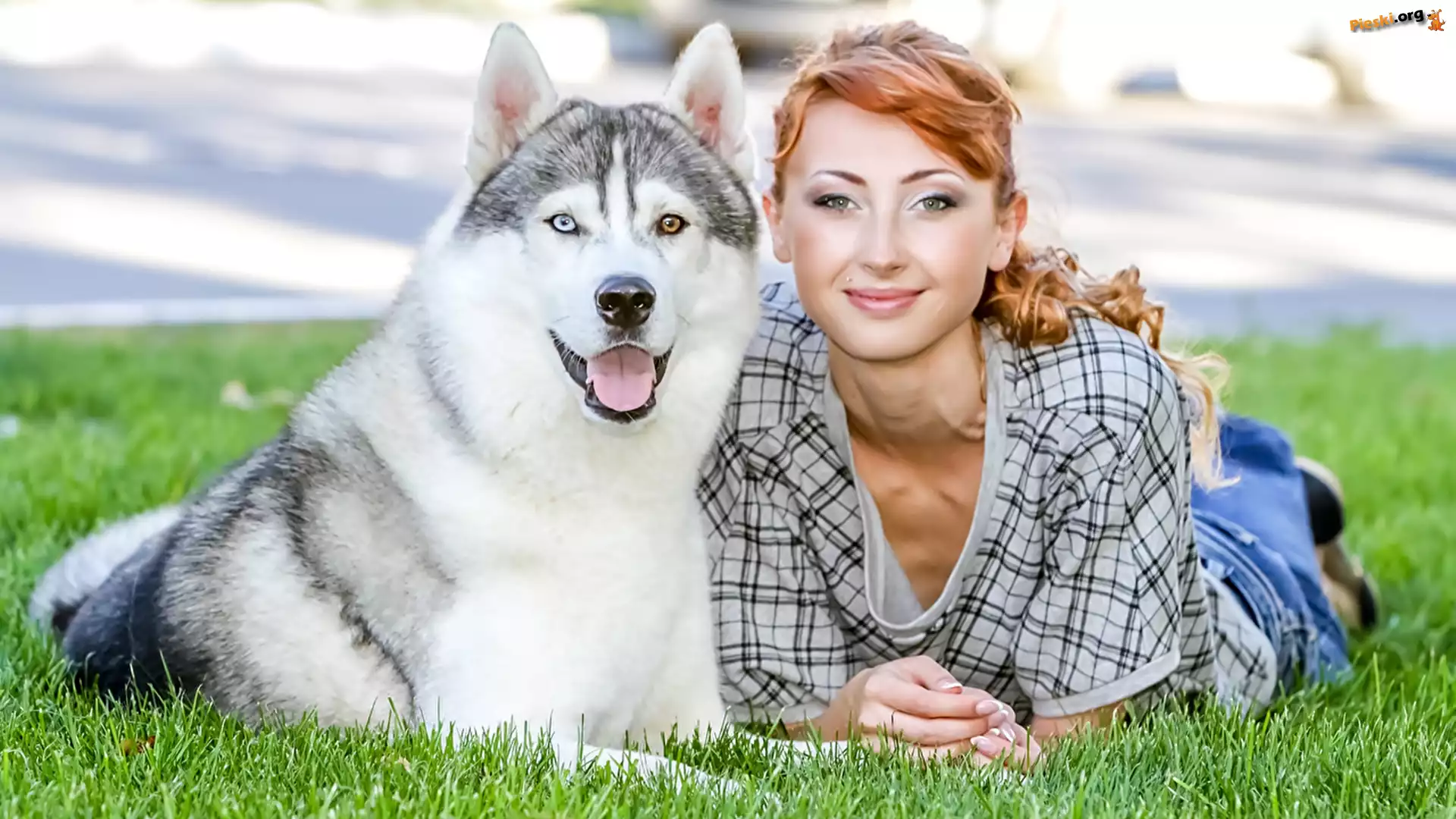 Kobieta, Pies, Siberian husky, Uśmiech