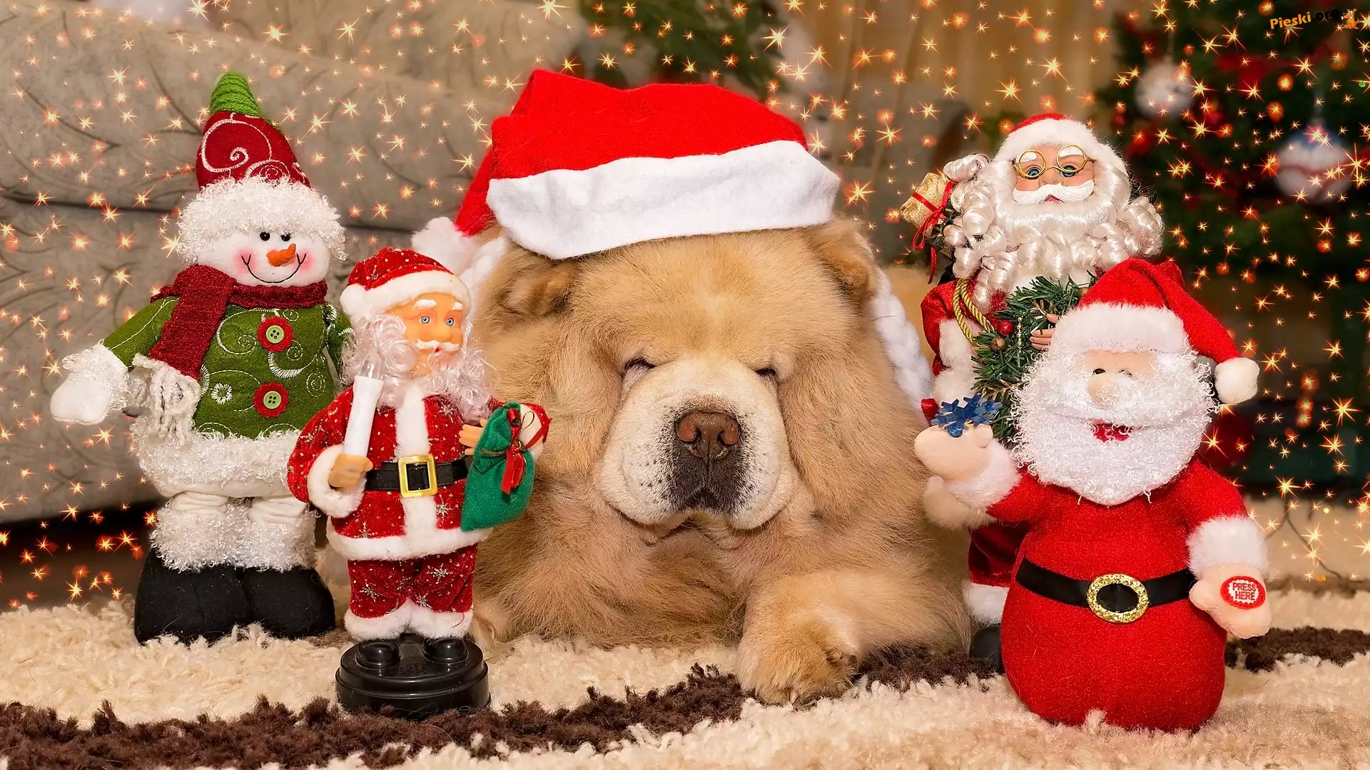 Dekoracje, Pies, Figurki, Czapka, Chow chow, Mikołaja, Mikołaje