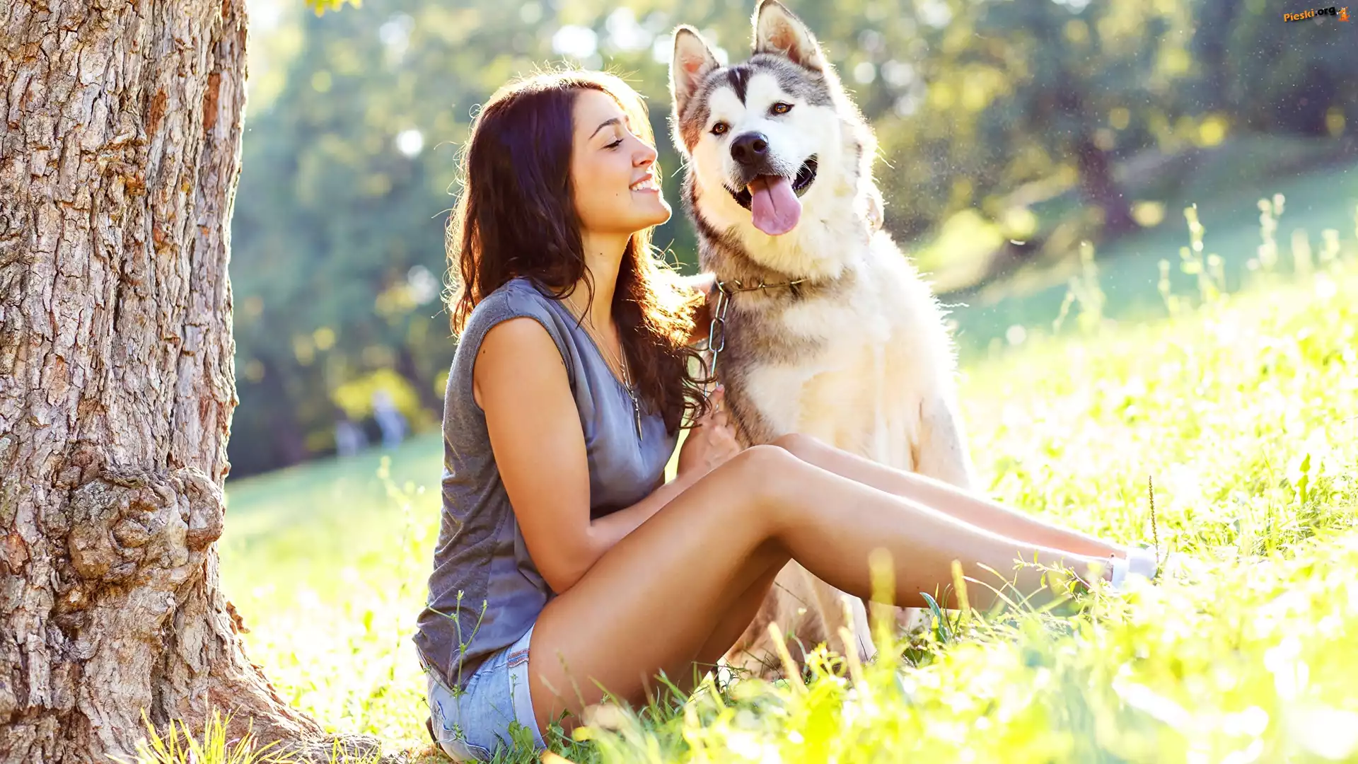 Drzewo, Pies, Kobieta, Siberian husky, Polana