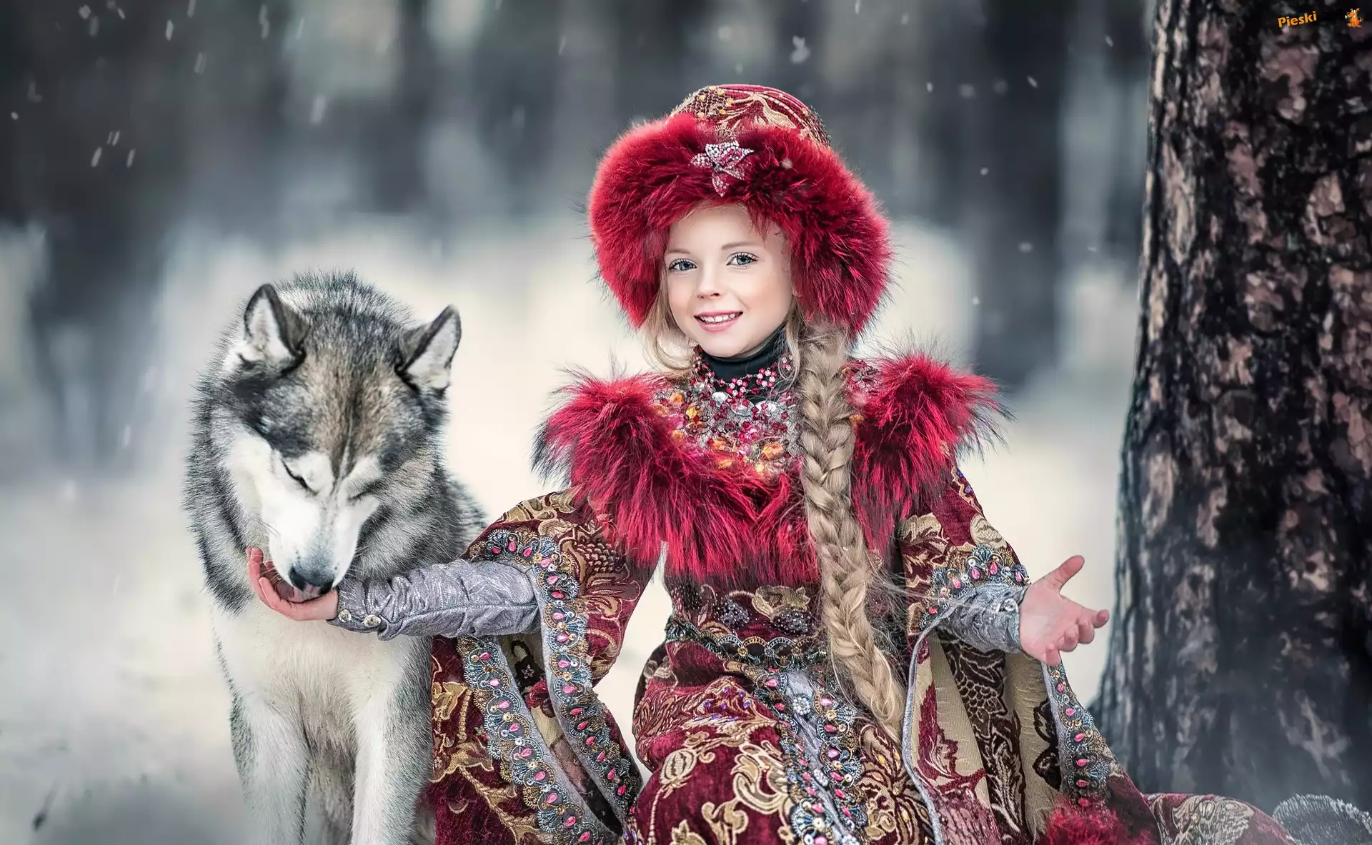 Dziewczynka, Pies, Siberian husky, Warkocz