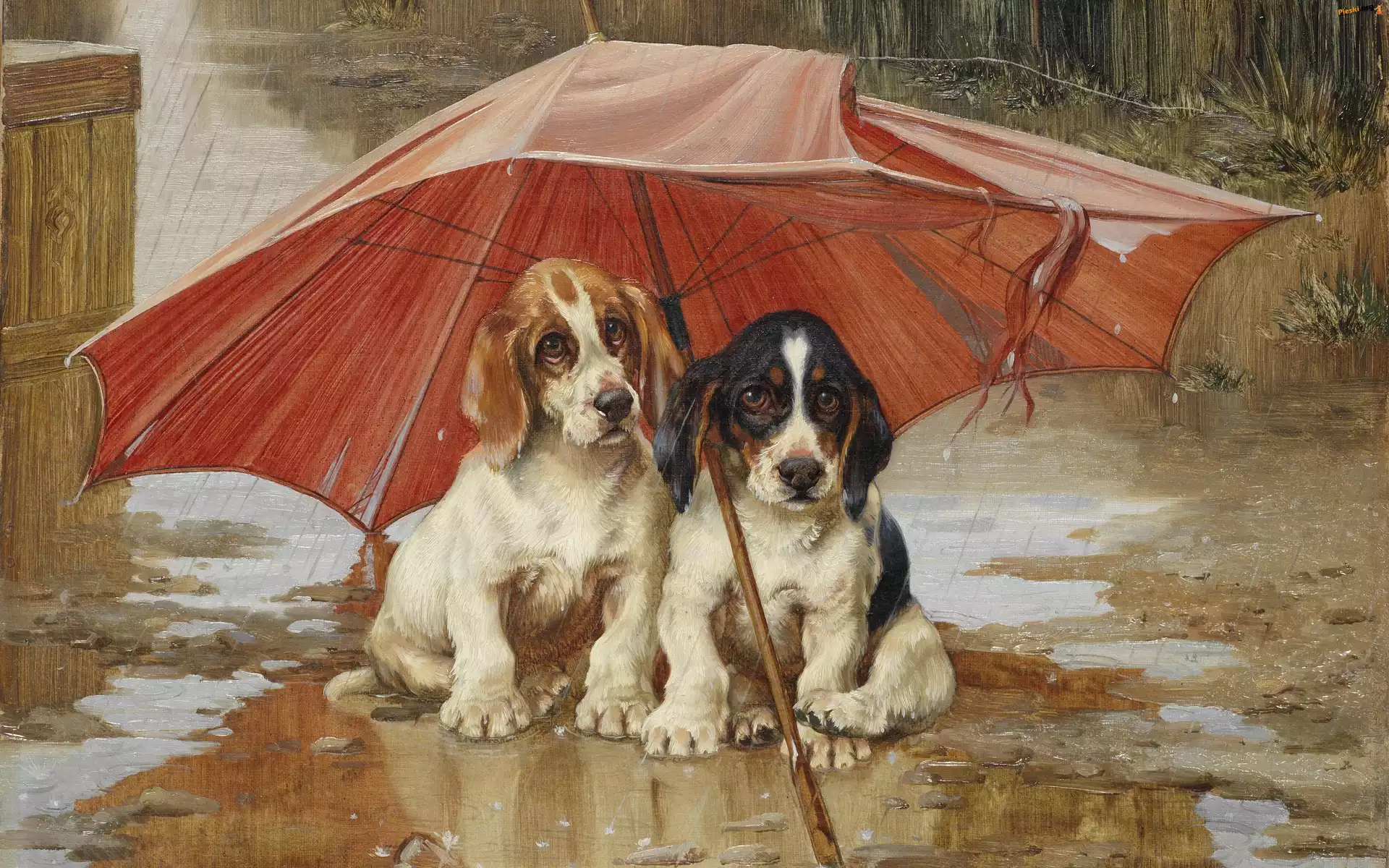 Deszcz, Malarstwo, Parasol, Wiliam Henry Hamilton Trood, Obraz, Psy, Kałuża