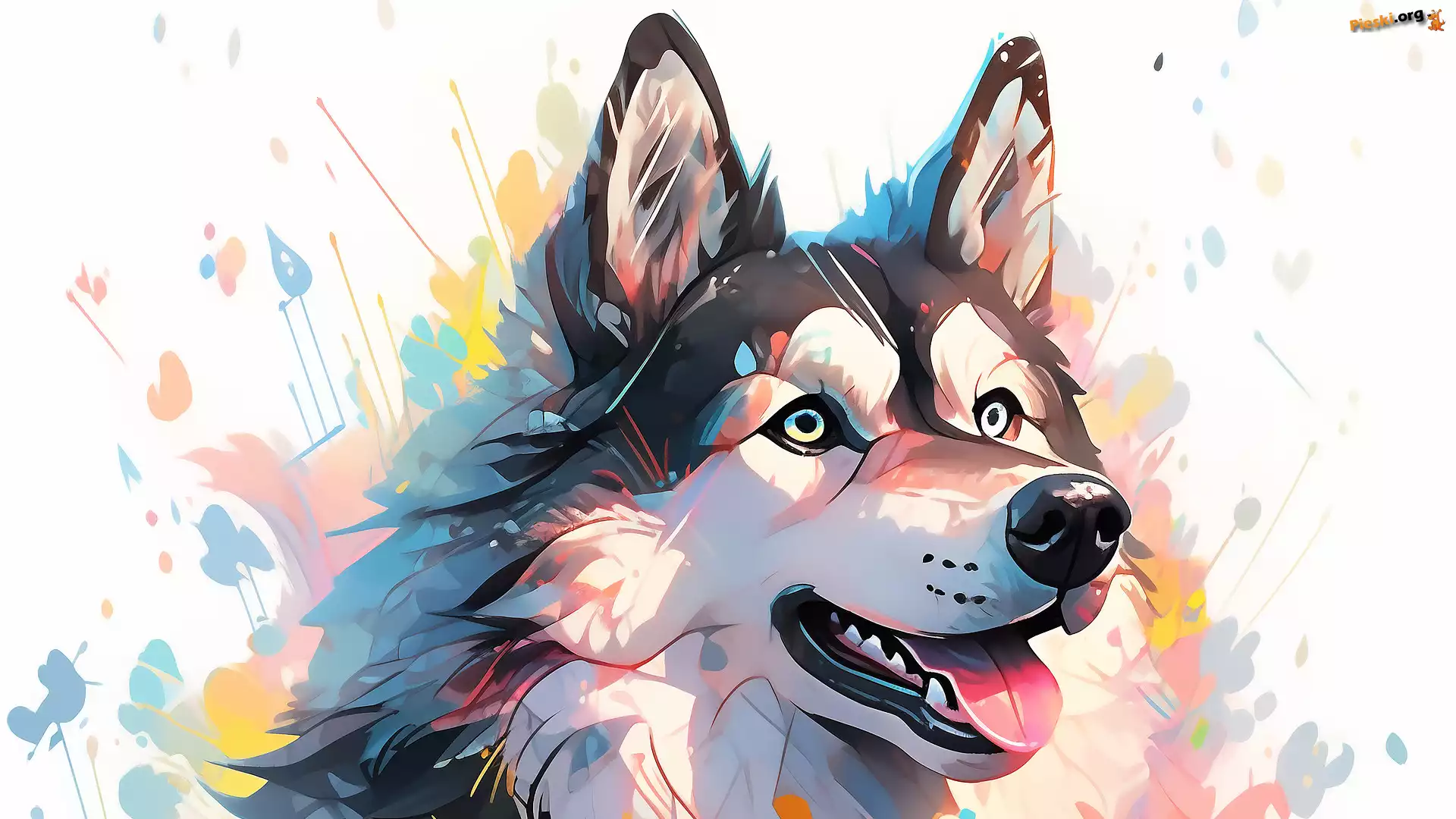 Farba, Siberian husky, Grafika, Pies
