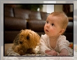 Dziecko, Piesek, Yorkshire Terrier