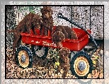 Jesień, Cztery, Malarstwo, Brązowe, Ogród, Szczeniaki, Psy, Przyczepa, Jerry Gadamus