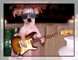 Gitara, Okulary, Pies