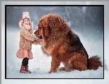 Zima, Pies, Dziewczynka, Mastif tybetański, Śnieg